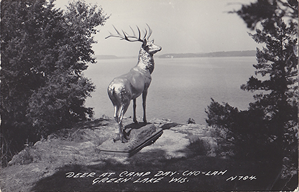 10008-Deer at Camp Day-Cho-La, Green Lake Wis