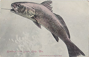 10297 - Generic Fish from Green Lake - Postmarked 1906