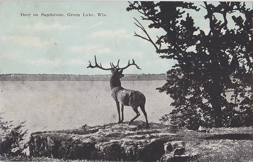 10409-Deer on Sandstone, Green Lake, WIS-Postmarked 1923