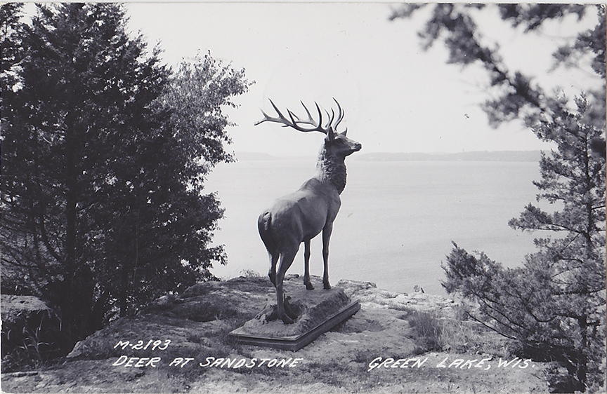 10581-Deer at Sandstone Green Lake, Wis.-Postmarked 1956