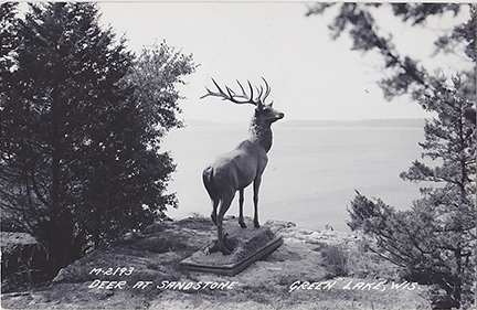 10581-Deer at Sandstone Green Lake, Wis.-Postmarked 1956