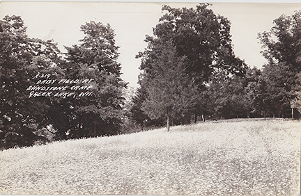 11121-Daisy Field at Sandstone Camp, Green Lake, WIS.-Postmarked 1946