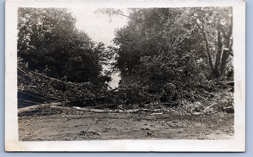 11161-Storm Damage, June 24, 1914, Damaged trees Blocking Road