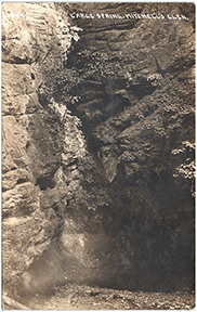 11366-Large Spring. Mitchell's Glen