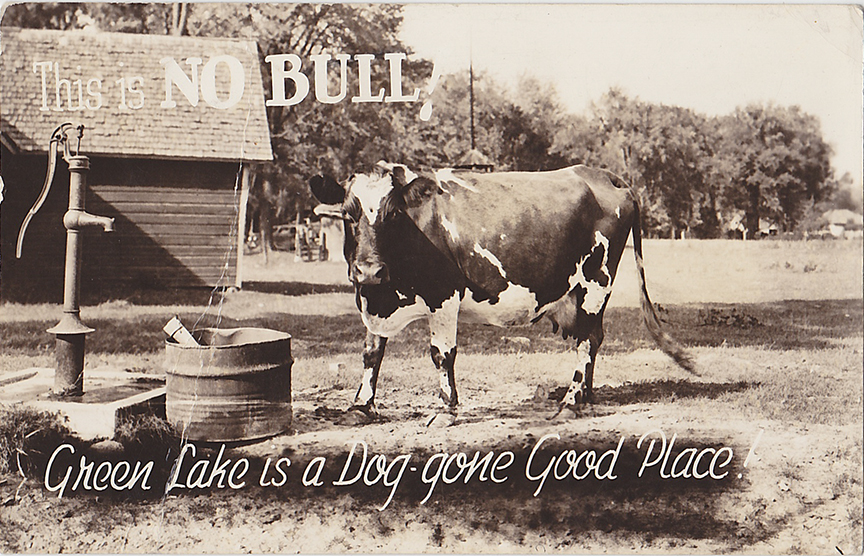10296-This is No Bull, Green Lake is a dog gone good place! - Postmarked 1943
