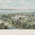 Doing some maintenance, most of the Lawsonia cards are up.