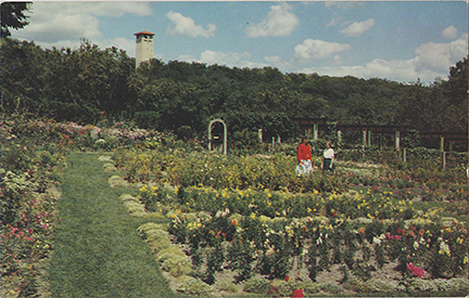 10481-The Lawson Gardens, American Baptist Assembly, Green Lake, Wisconsin
