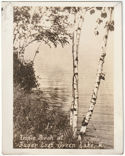 Triple Birch at Sugar Loaf, Green Lake, Wisconsin